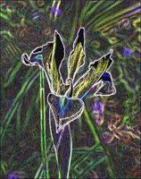 ART0222.jpg