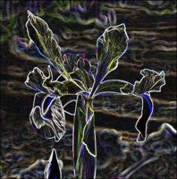 ART0221.jpg