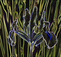 ART0220.jpg