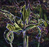 ART0219.jpg