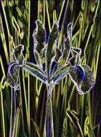 ART0218.jpg