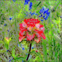 ART0215.jpg