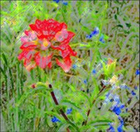 ART0214.jpg