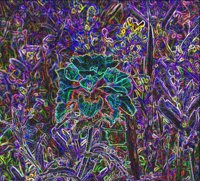 ART0213.jpg