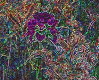 ART0212.jpg