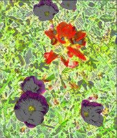 ART0211.jpg