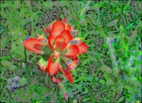 ART0206.jpg