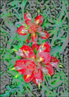 ART0202.jpg