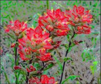 ART0201.jpg