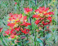 ART0200.jpg