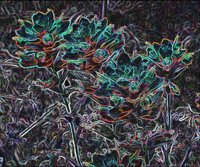 ART0198.jpg