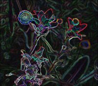 ART0194.jpg