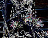 ART0193.jpg