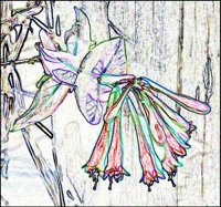 ART0192.jpg