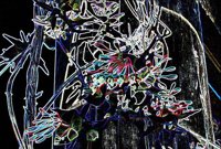 ART0191.jpg