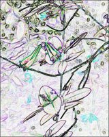 ART0189.jpg