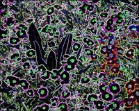 ART0186.jpg