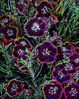 ART0182.jpg