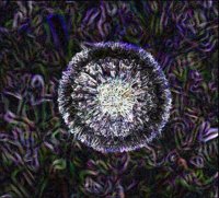 ART0181.jpg