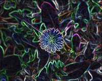 ART0179.jpg