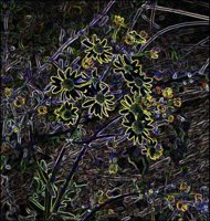 ART0178.jpg