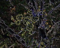 ART0177.jpg