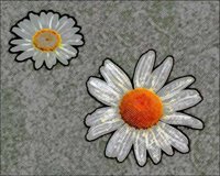 ART0176.jpg
