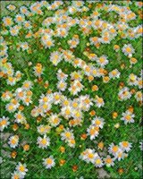 ART0175.jpg