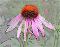 ART0169.jpg