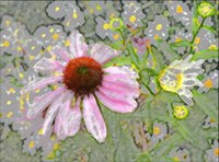 ART0168.jpg