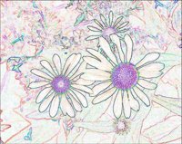 ART0165.jpg