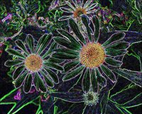 ART0163.jpg