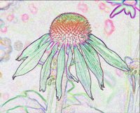 ART0162.jpg