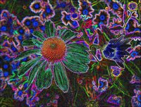 ART0161.jpg