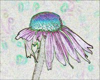 ART0159.jpg