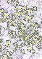 ART0153.jpg