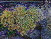 ART0152.jpg