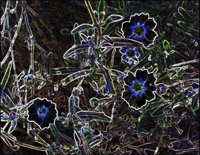 ART0150.jpg