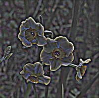 ART0148.jpg