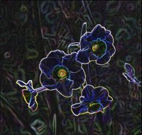 ART0147.jpg