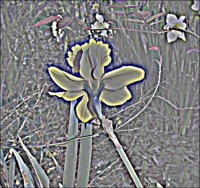 ART0146.jpg