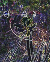 ART0145.jpg