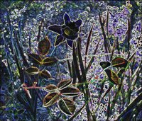 ART0144.jpg