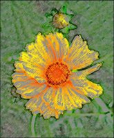 ART0142.jpg