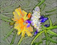 ART0138.jpg