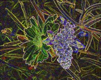 ART0137.jpg