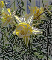 ART0136.jpg