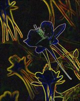 ART0135.jpg