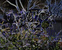 ART0133.jpg