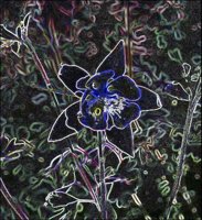 ART0132.jpg